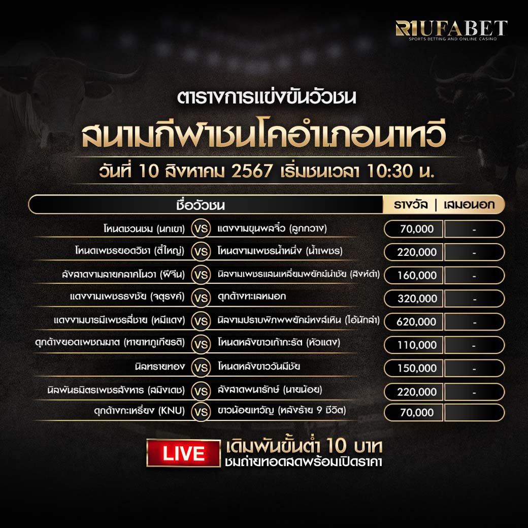 ตารางวัวชน10-8-67