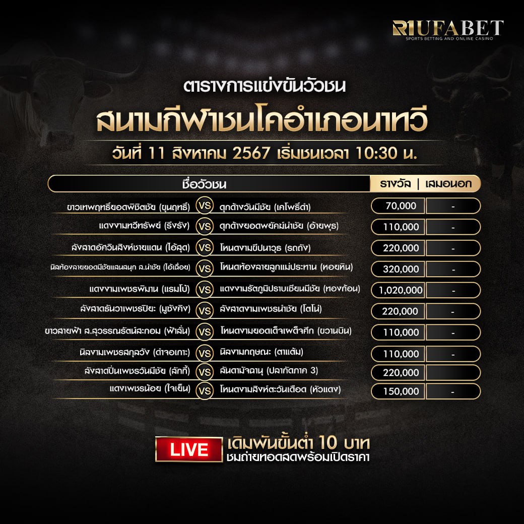 ตารางวัวชน11-8-67