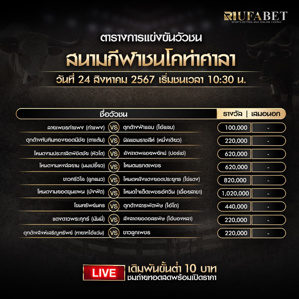 ตารางวัวชน24-08-67