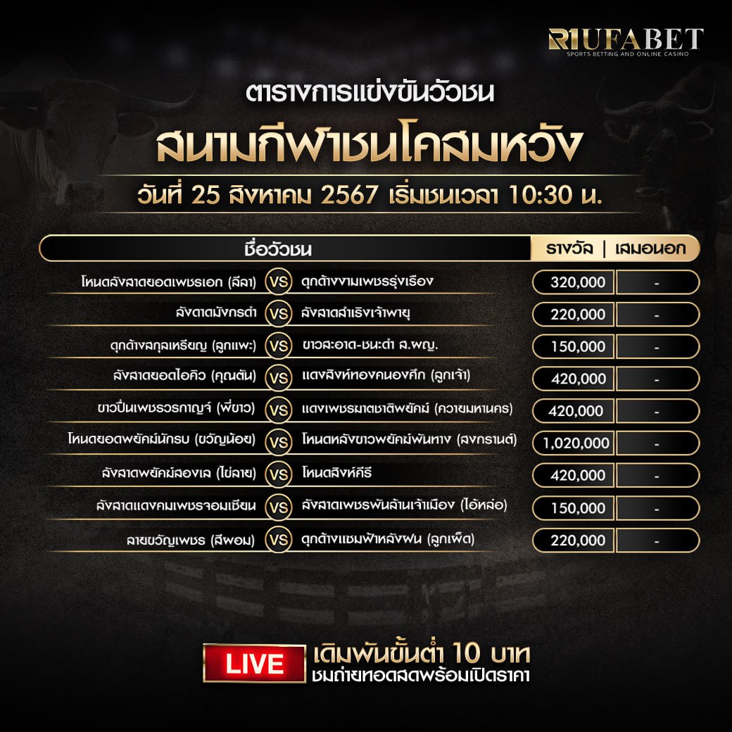 ตารางวัวชน24-8-67