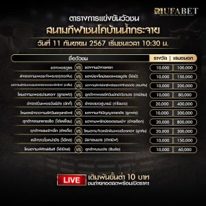 ตารางวัวชน11-9-67