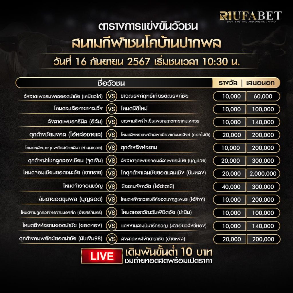 ตารางวัวชน16-9-67