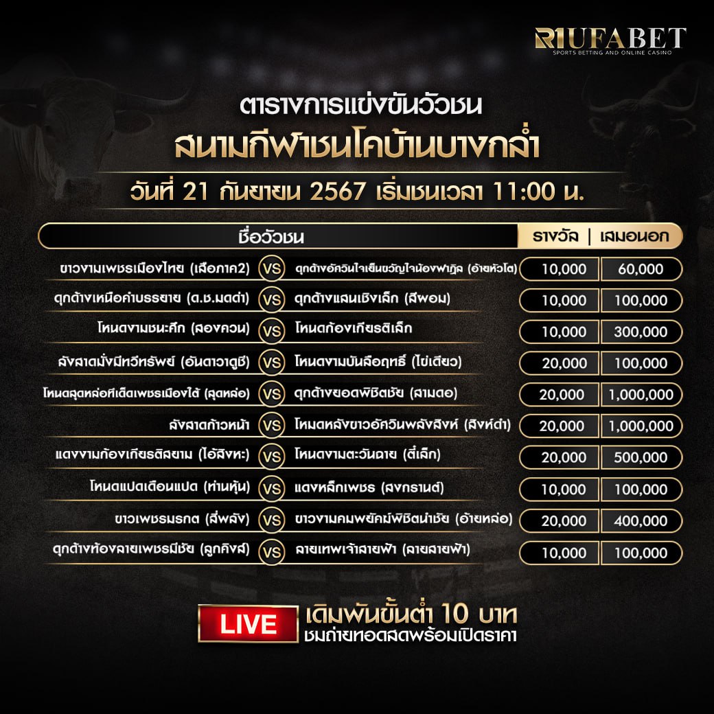 ตารางวัวชน21-09-67