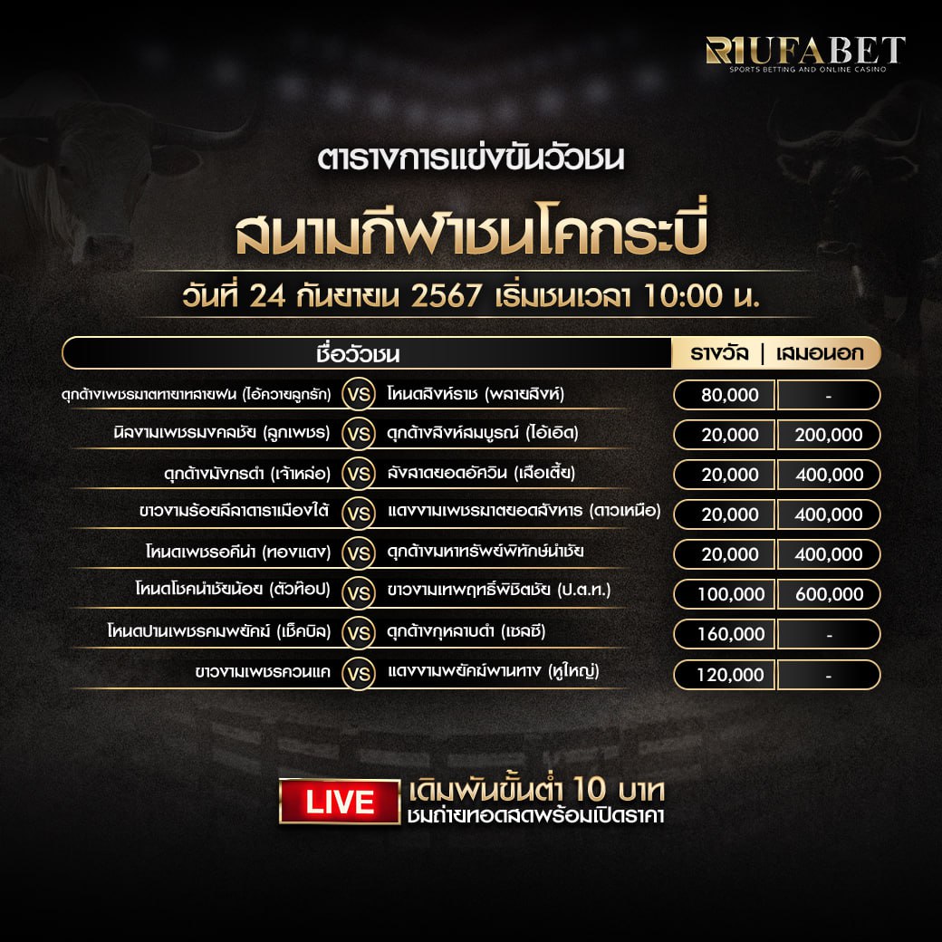 ตารางวัวชน24-9-67