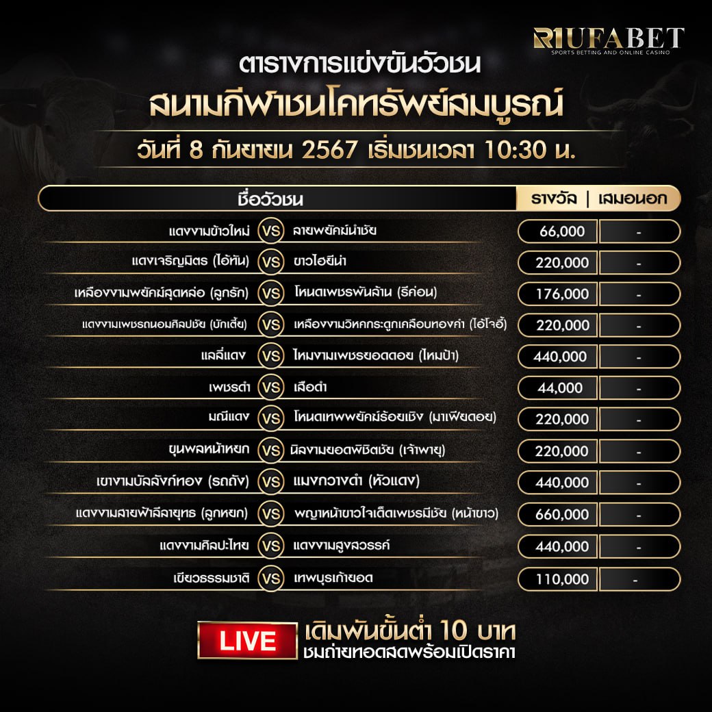 ตารางวัวชน8-9-67