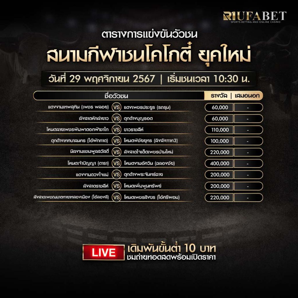 ตารางวัวชน29-11-67