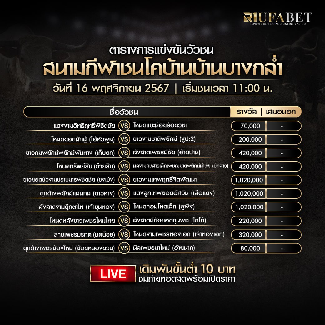 ตารางวัวชน 16-11-67