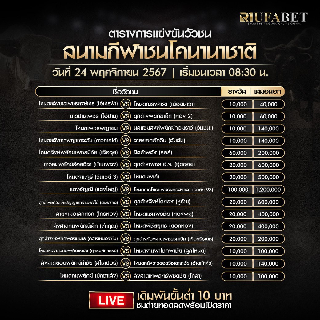 ตารางวัวชน 24-11-67