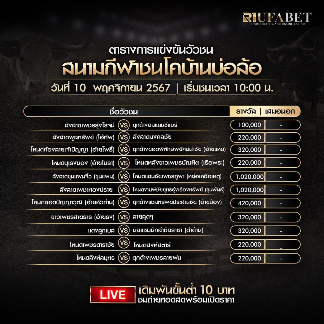 ตารางวัวชน10-11-2567