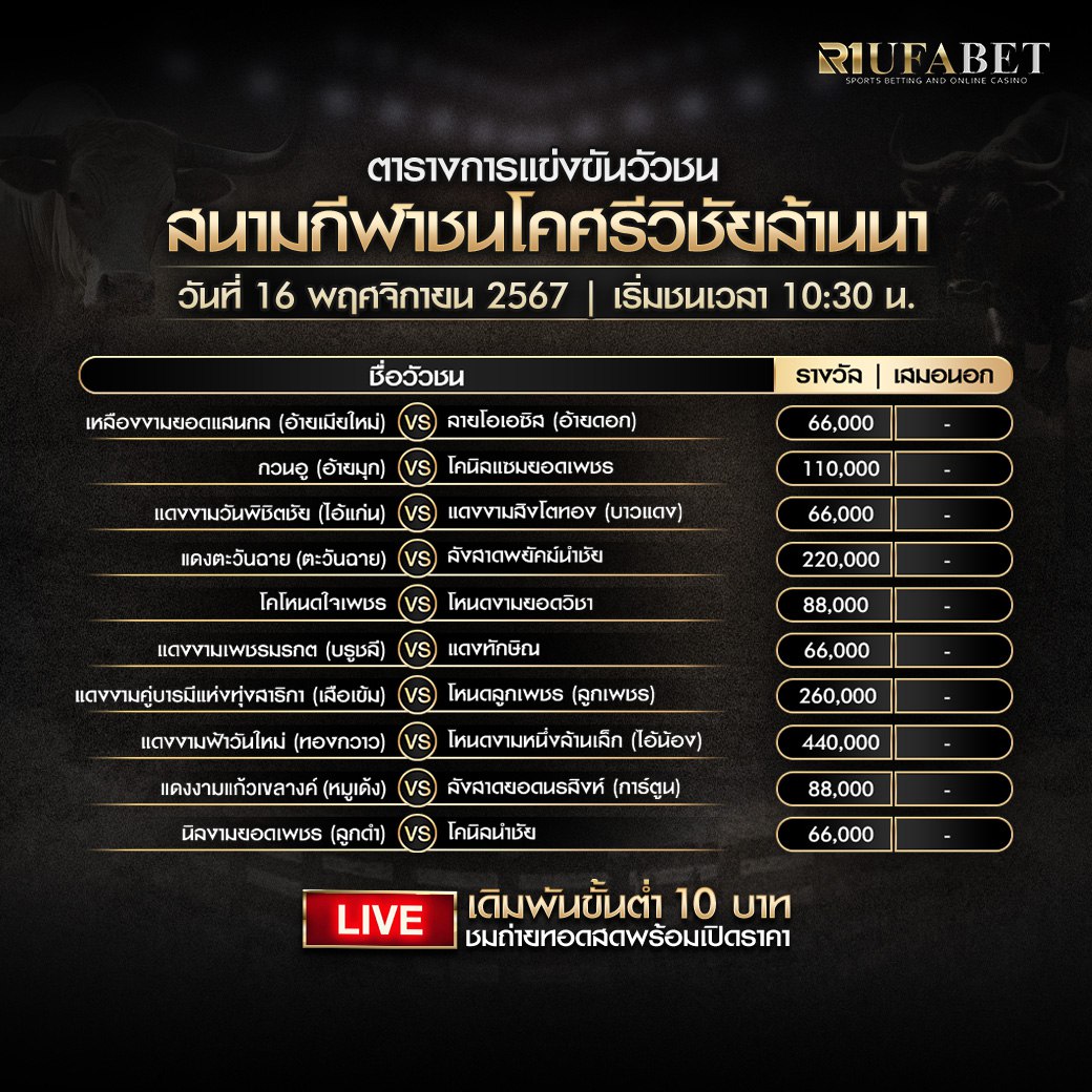 ตารางวัวชน16-11-67