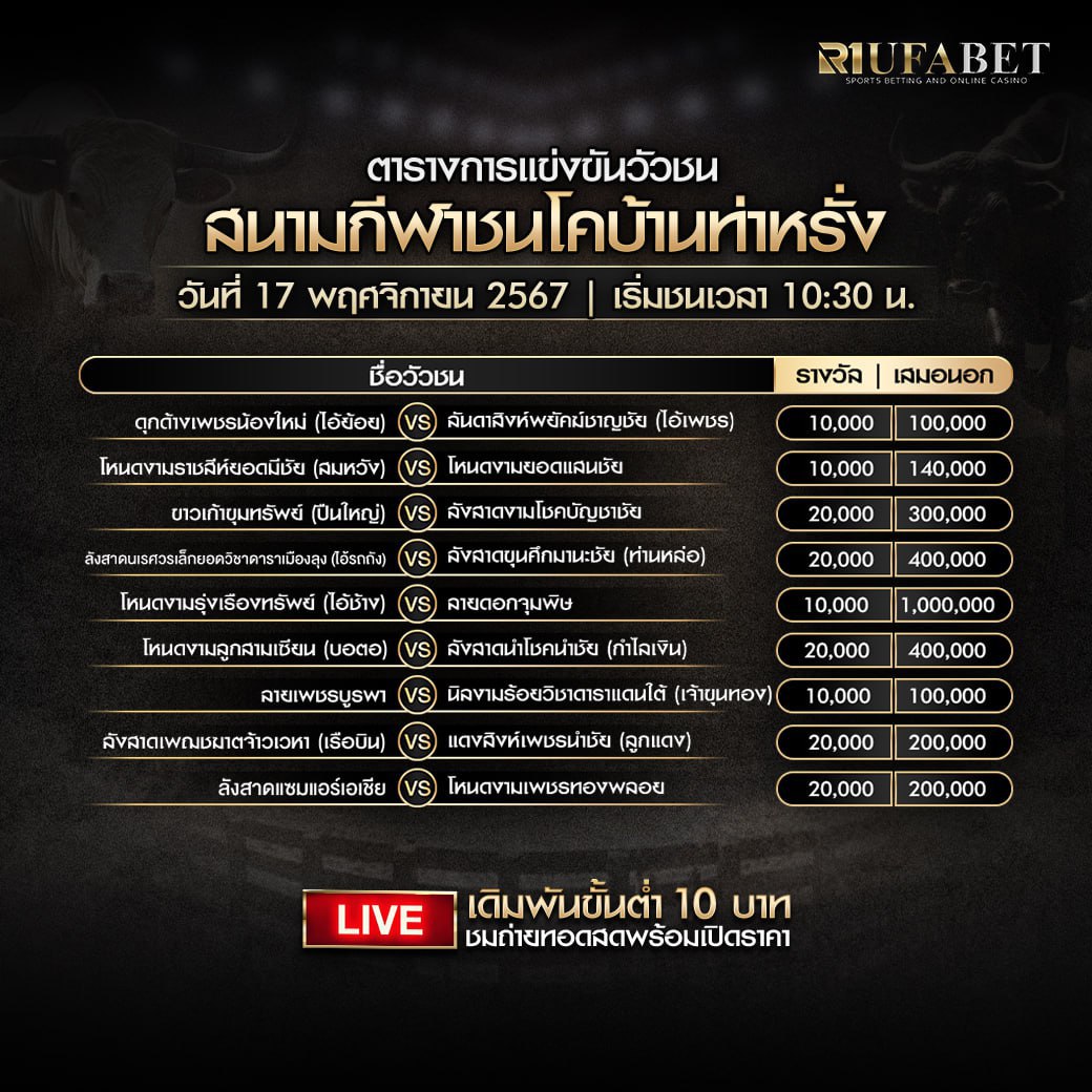 ตารางวัวชน17-11-67