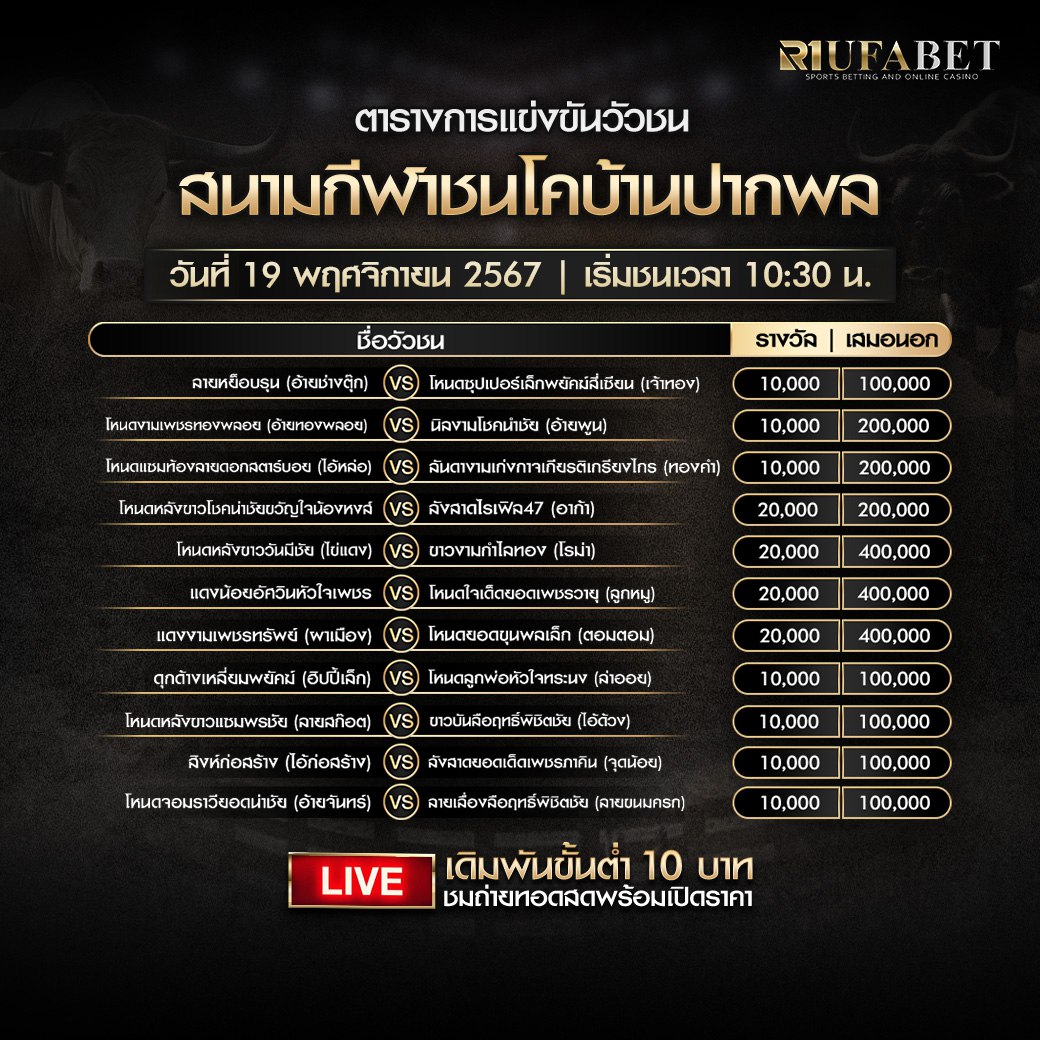 ตารางวัวชน19-11-67