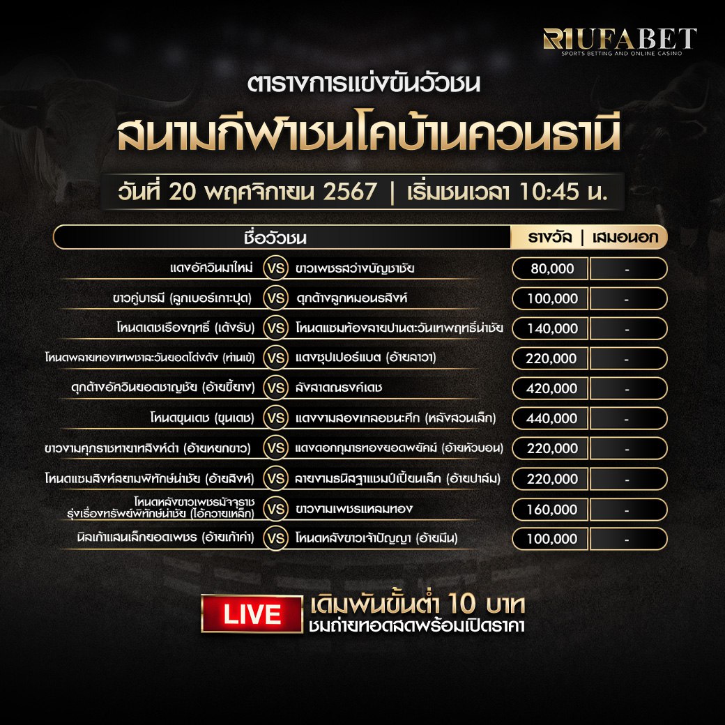 ตารางวัวชน20-11-67