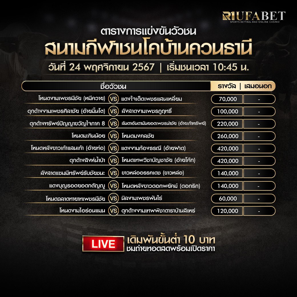 ตารางวัวชน24-11-67