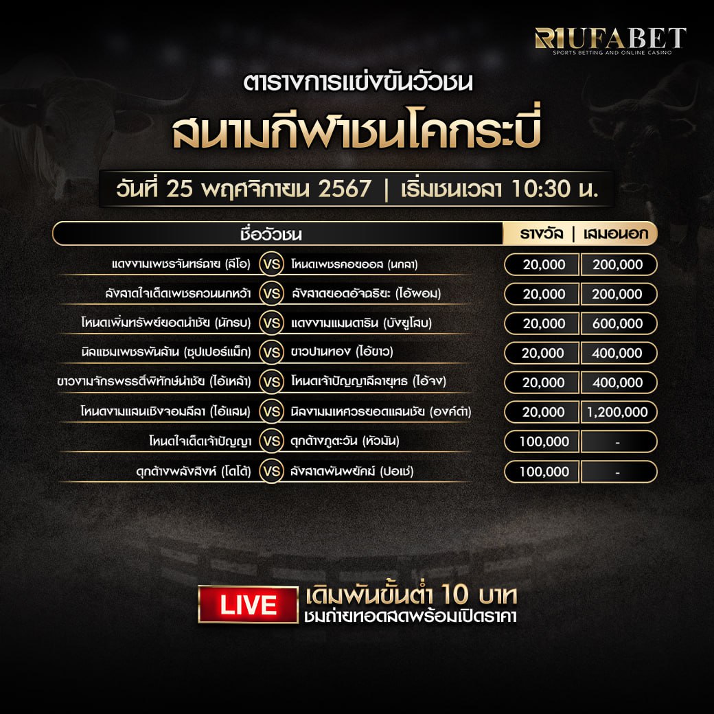 ตารางวัวชน25-11-67