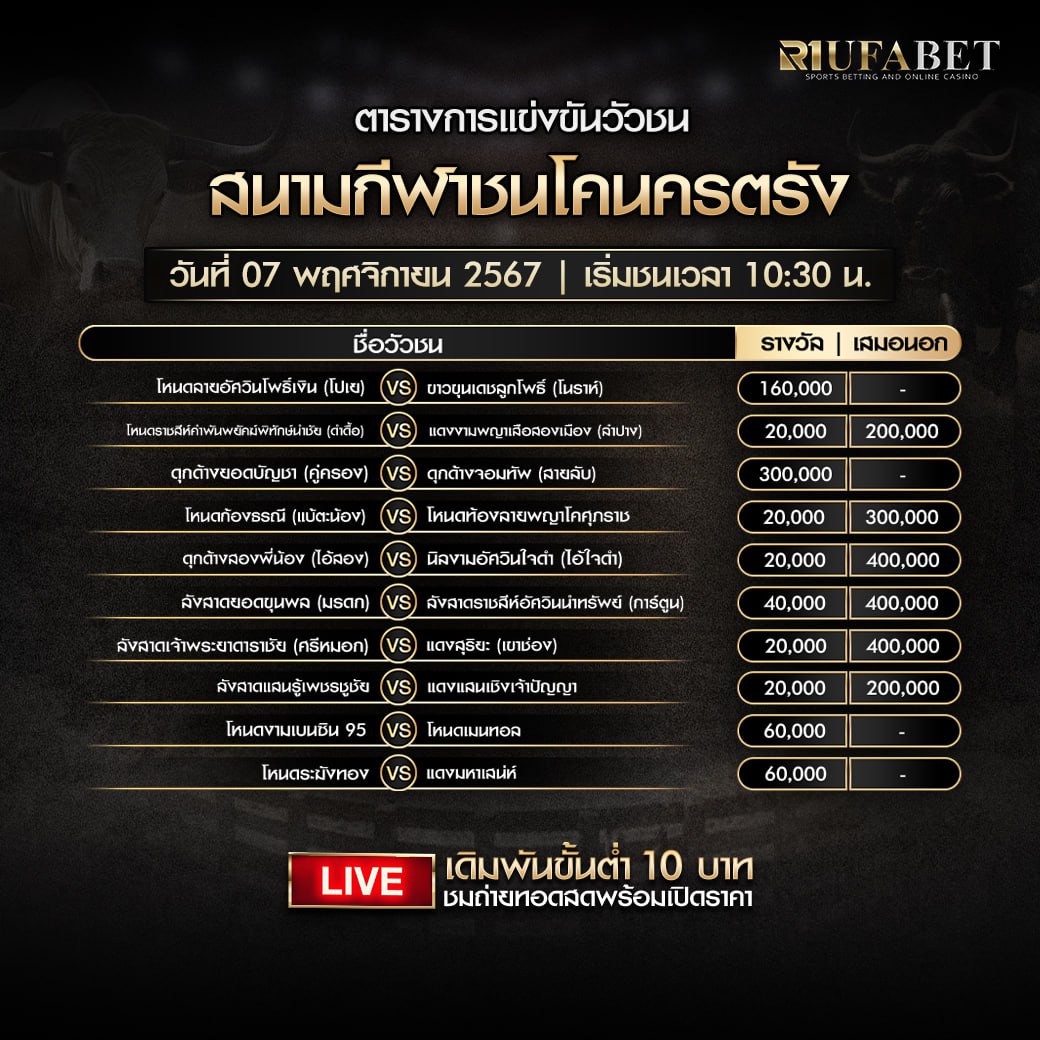 ตารางวัวชน7-11-67