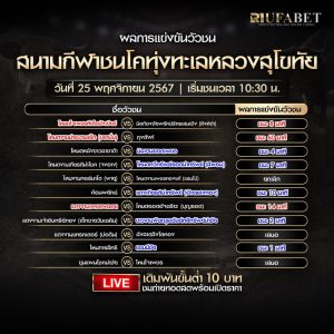 ผลวัวชน25-11-67