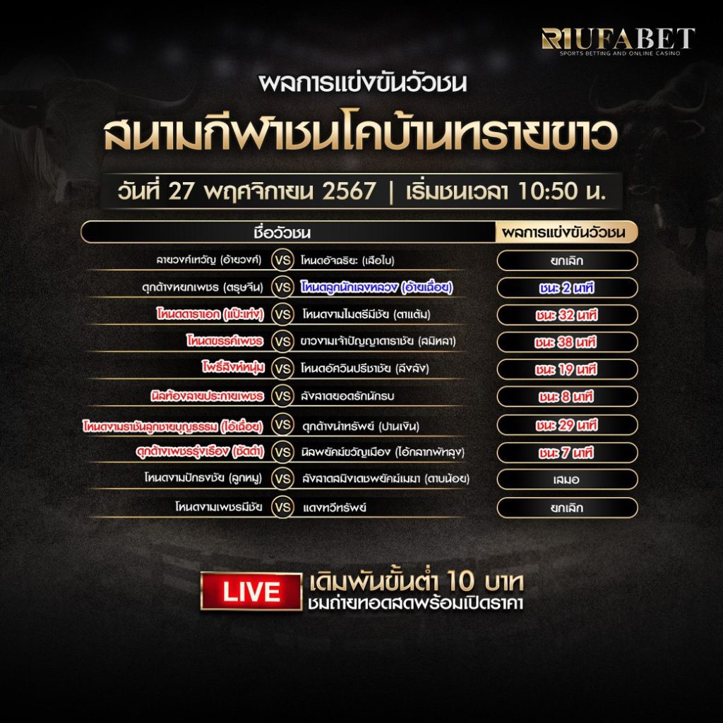 ผลวัวชน27-11-67