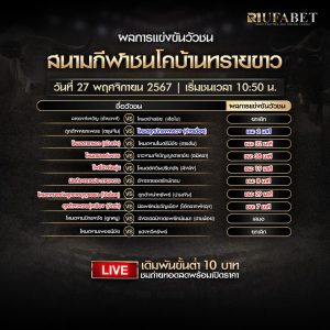 ผลวัวชน27-11-67