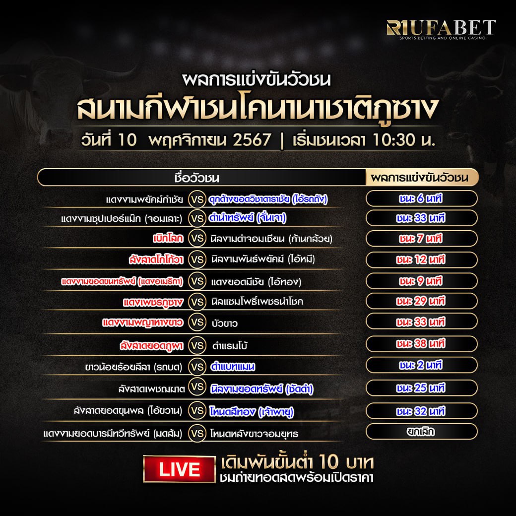 ผลแข่งขันวัวชน10-11-2567