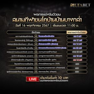 ผลแข่งขันวัวชน16-11-67