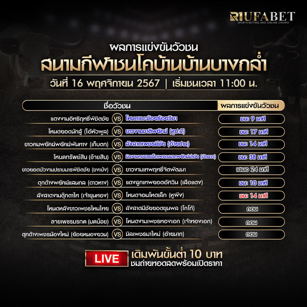 ผลแข่งขันวัวชน16-11-67