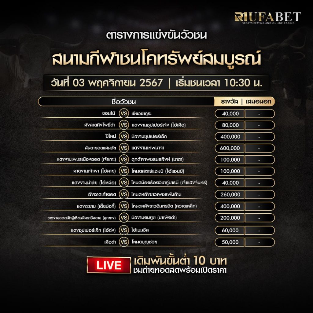 ตารางวัวชน03-11-67