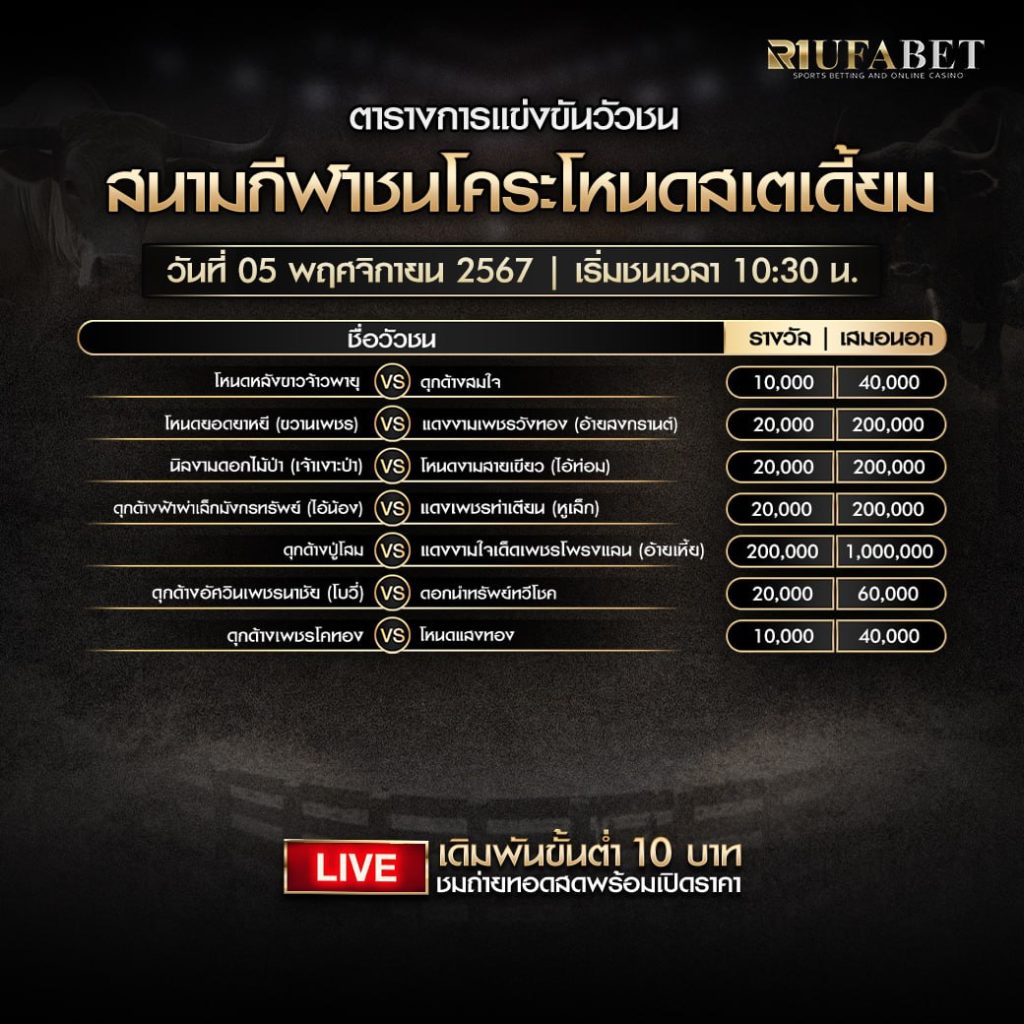 ตารางวัวชน05-11-67