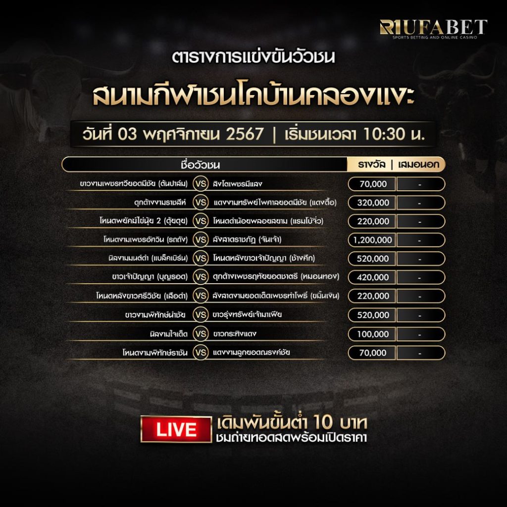 ตารางวัวชน03-11-67