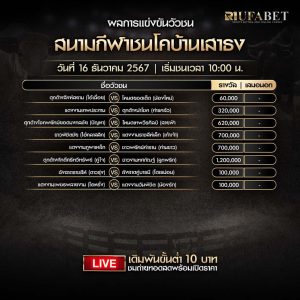 ตารางวัวชน16-12-67