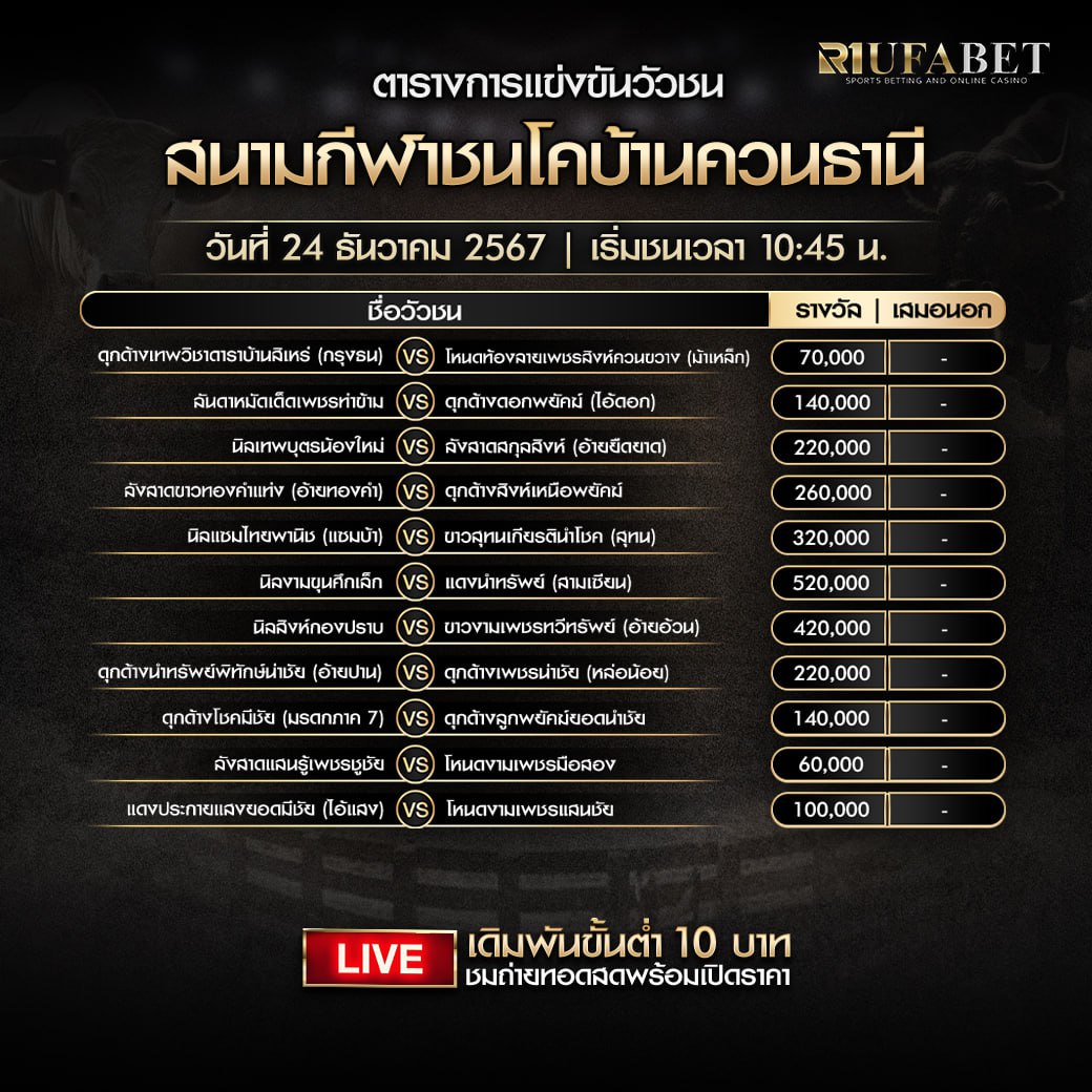 ตารางวัวชน24-12-67